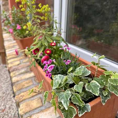 Triplex Le Petit Cocon * Coulogne